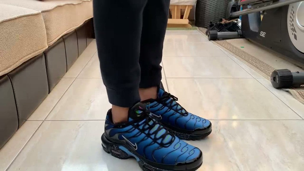 Nike TN Air Max Plus Blue Gradient Sneakers